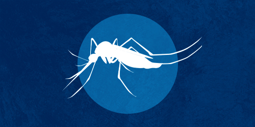 Myth No. 2: The virus can be transmitted through mosquito bites