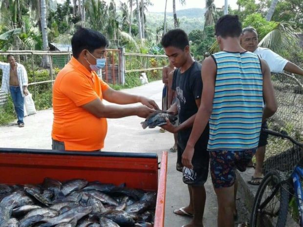 Residents were given fish freshly harvested from their mayor's fishpond in Rapu-Rapu, Albay as a form of aid as Luzon remains under enhanced community quarantine due to coronavirus disease 2019 pandemic. CONTRIBUTED PHOTOS