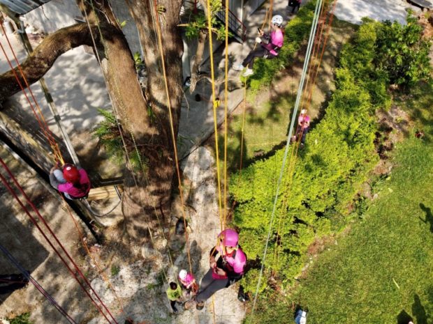 Taiwan tree climbers