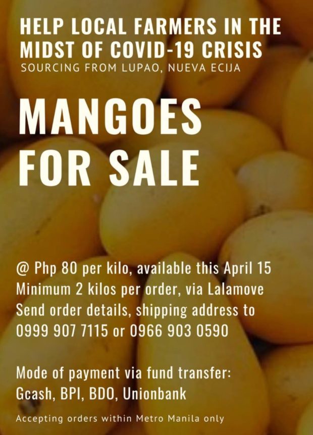 Mangoes, farmers