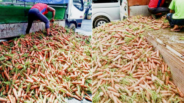 Benguet farmers donate carrots; church workers raise funds to help in return