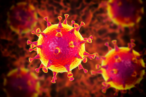 The photo shows interpretation of the SARS-CoV-2 that causes COVID-19 which active cases in the Philippines have now surpassed 14,000