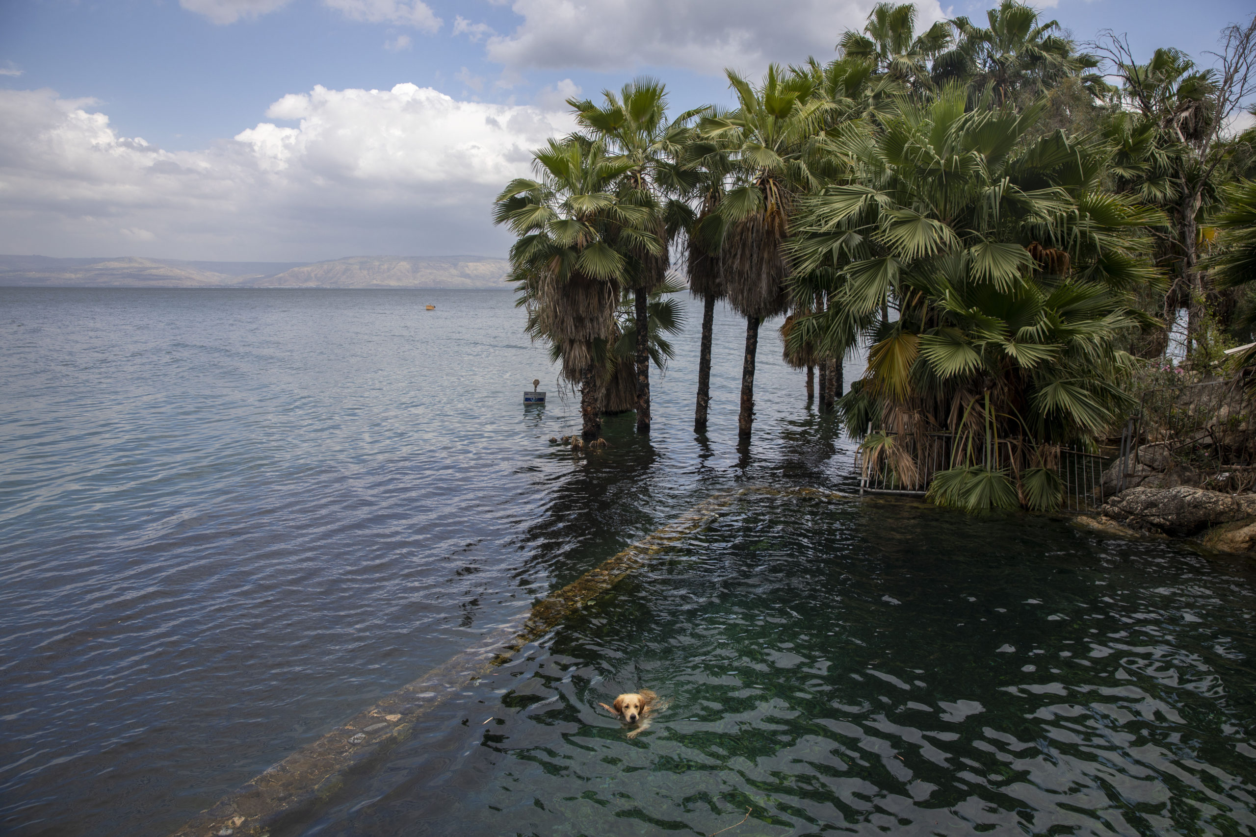 Озеро Кинерет в Израиле пляж