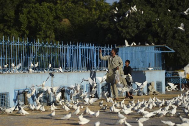 Afghanistan doves