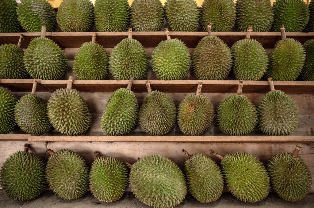 Malaysia durian