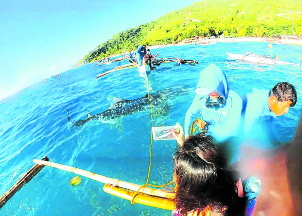  Oslob town in southern Cebu province has become a prime tourism destination with its “butanding” or whale shark watching activities. —CONTRIBUTED PHOTO