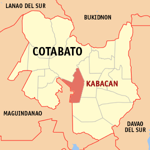 Kabacan court metes 30-year jail term for 2 minors in double murder case
