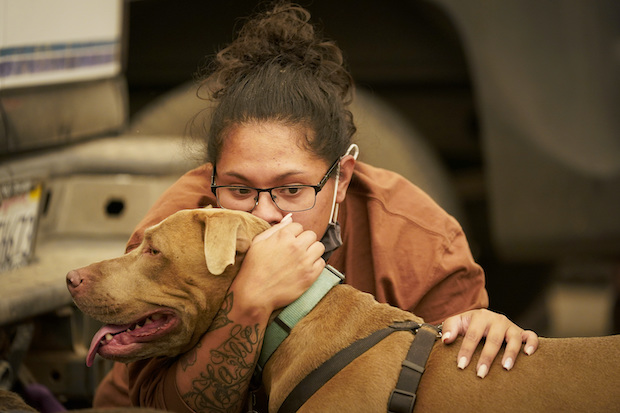 California fire refugee and her dog.