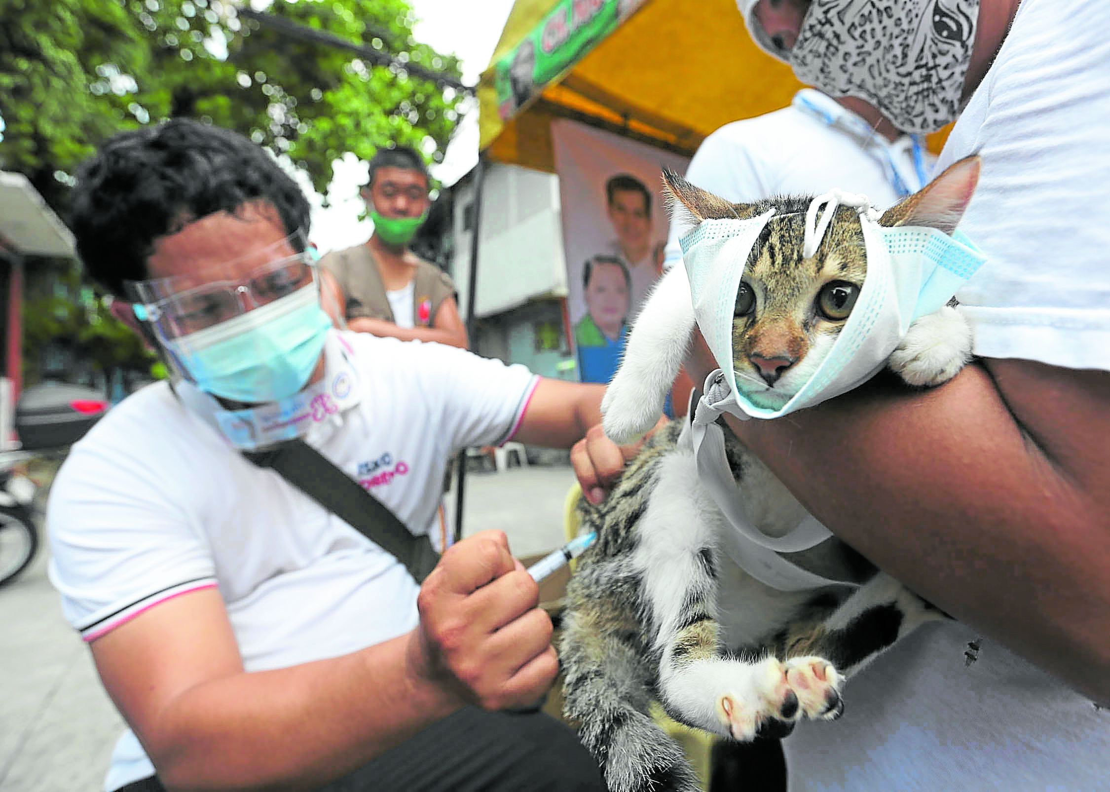 Over 150 pets get free anti-rabies shots, castrations