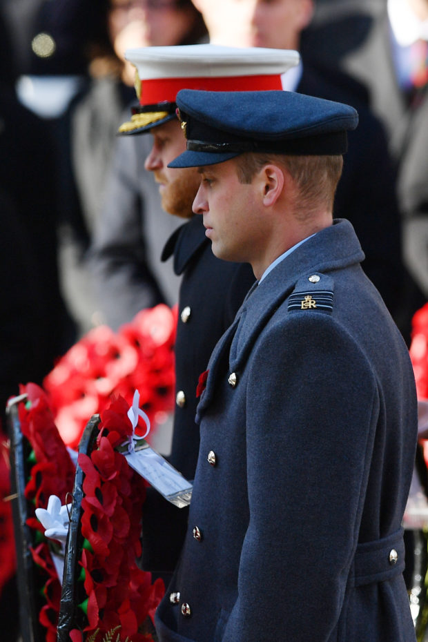 Prince Harry and Prince William