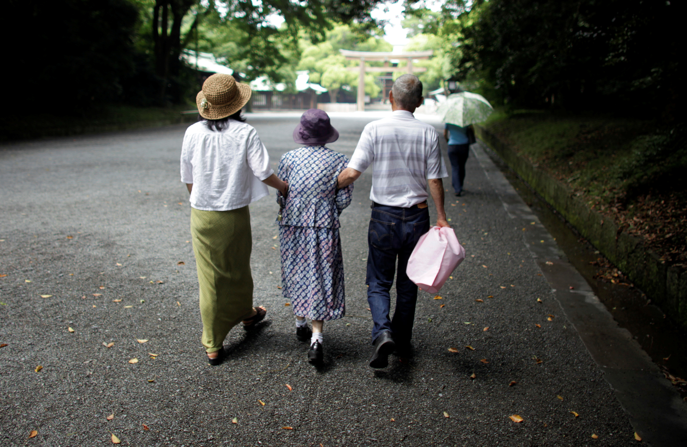 Japan demographics elderly