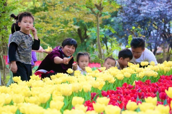 tourists tulip show china
