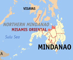 11 killed in Misamis Oriental truck crash