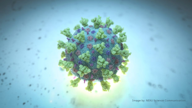 Independent pandemic monitoring organization Octa Research on Thursday described as “concerning” the current COVID-19 situation in Metro Manila, although the metropolis remained under the “low risk classification."