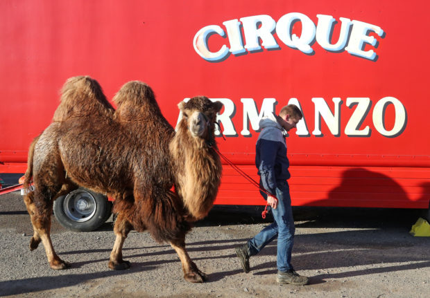 When the circus can't leave town: French family show stranded in Belgian carpark