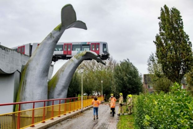 20201103 Whale sculpture train accident