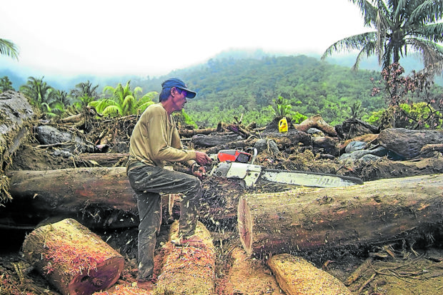 a-o-orders-crackdown-on-illegal-logging-quarrying-inquirer-news