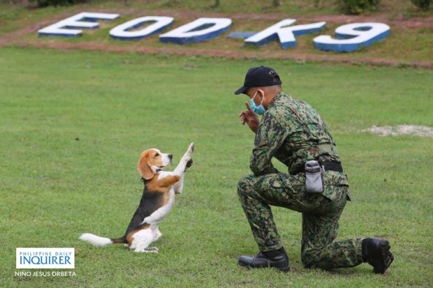 PHOTO: Solider or police officer interacting with a K-9 STORY: Over 400 K9s on Holy Week duty due to bomb threats