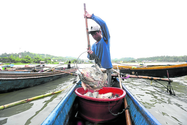 The Department of Agriculture (DA) said on Wednesday that a move of the Laguna Lake Development Authority (LLDA) to reallocate areas in Laguna de Bay will increase fish production.
