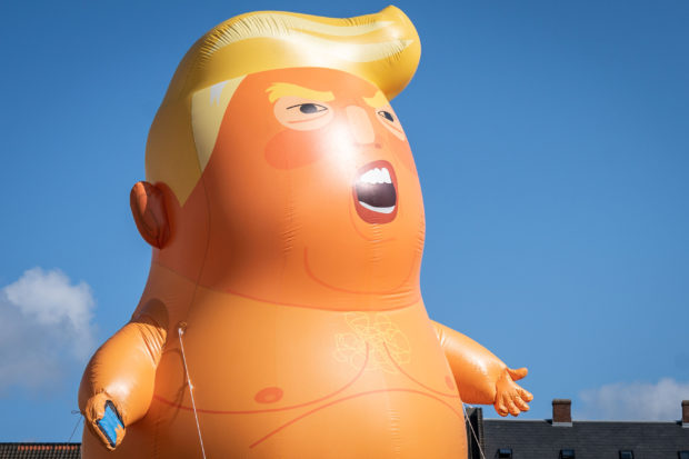 Trump baby blimp lands at London museum