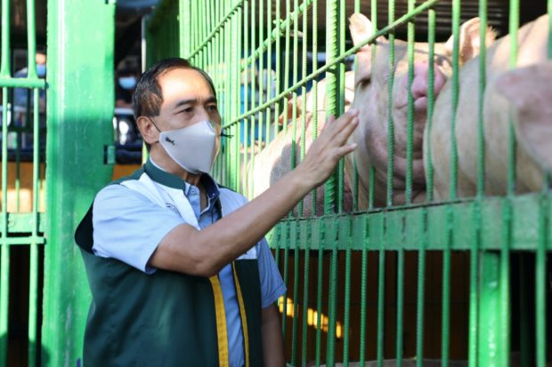 Villar, Pangilinan scold DA execs over imported pork