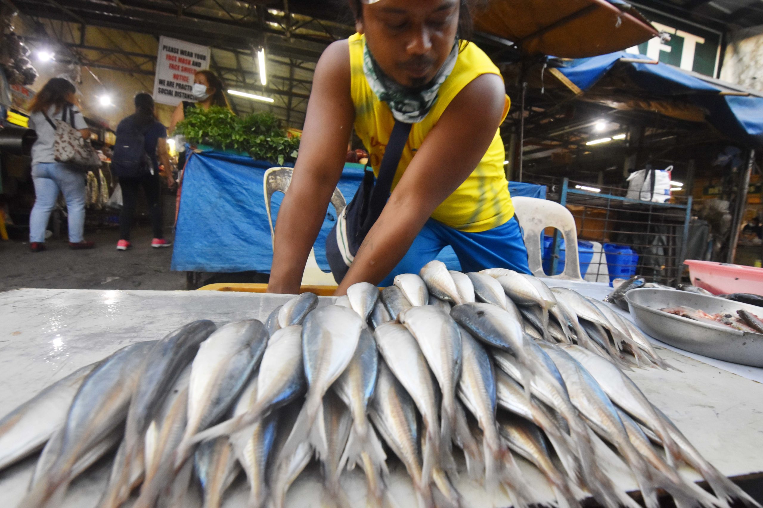 DA urged to implement price control on fish in Kristine, Leon aftermath