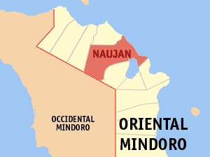 Map Oriental Mindoro Naujan E1612960016338 