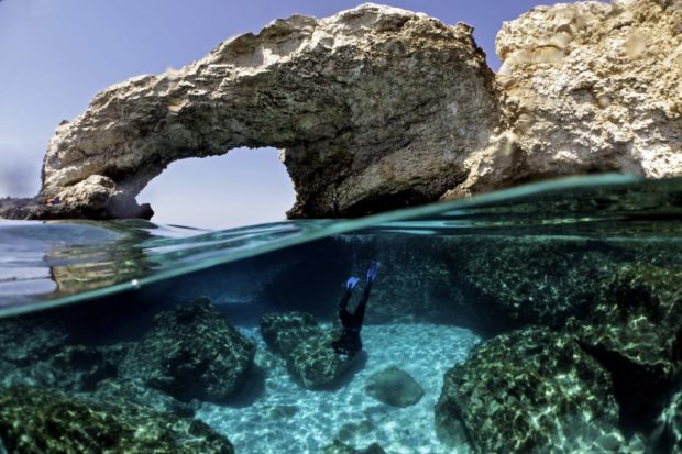 Race to save Cyprus corals from climate change, mass tourism
