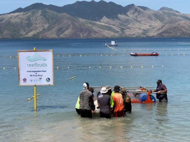 Beach resort in Subic Bay turns to artificial coral reefs to preserve marine ecosystem