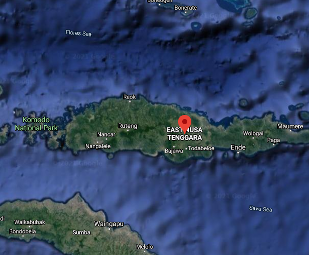 Floods, landslides kill dozens in Indonesia and East Timor | Inquirer News