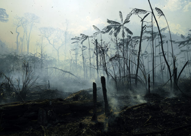 Deforestation of Brazilian Amazon hits record in April
