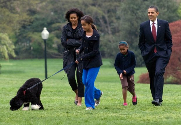 Obamas' dog Bo