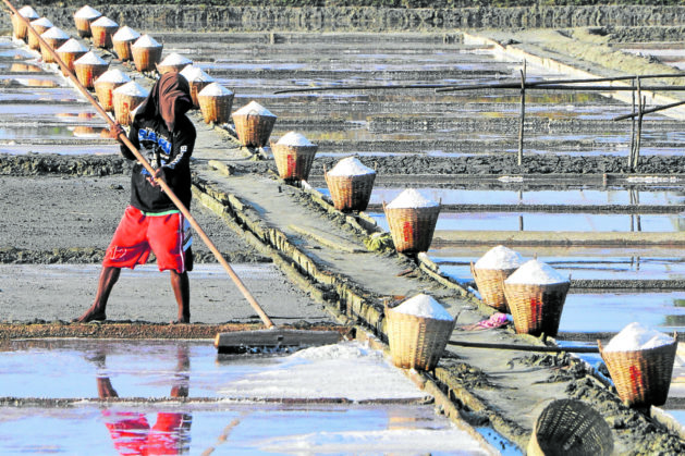 Work at a salt production field. STORY: Department of Agriculture pushes boost to salt making