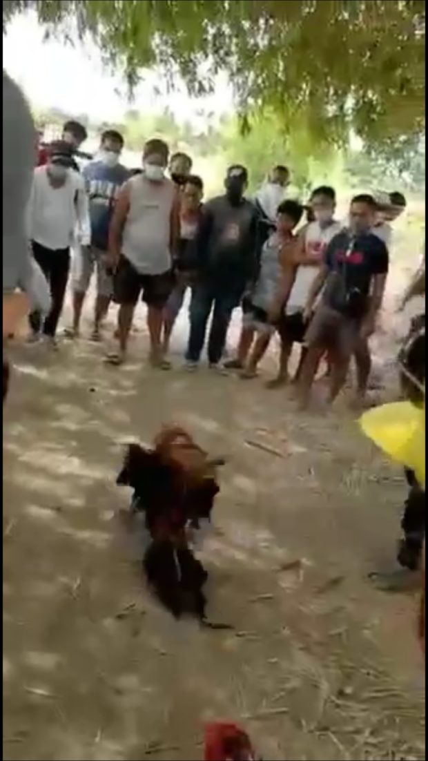 In this screen shot of an actual surveåçillance video, some residents at Barangay Palagay in Cabanatuan City hold a "tupada" or illegal cockfighting. Contributed photo