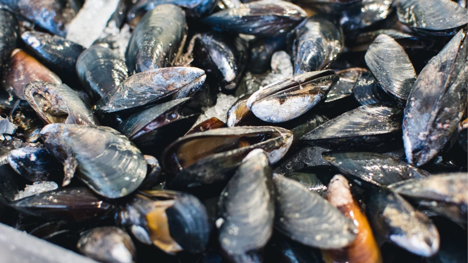 Shellfish ban up in Eastern Visayas waters