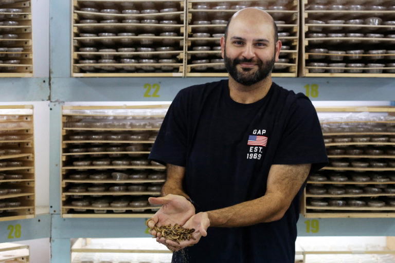 Kuwaiti breeder hopes superworms will new superfood Inquirer News