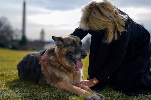 U.S. First Lady Jill Biden pets one of the family dogs, Champ, after his arrival at the White House