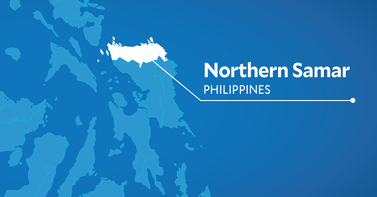Police seize 'hot' lumber worth P400,000 at a checkpoint in N. Samar town