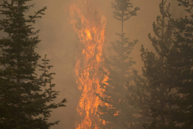 The Bootleg fire burns through vegetation near Paisley, Oregon, U.S., July 20, 2021. REUTERS/David Ryder/File Photo
