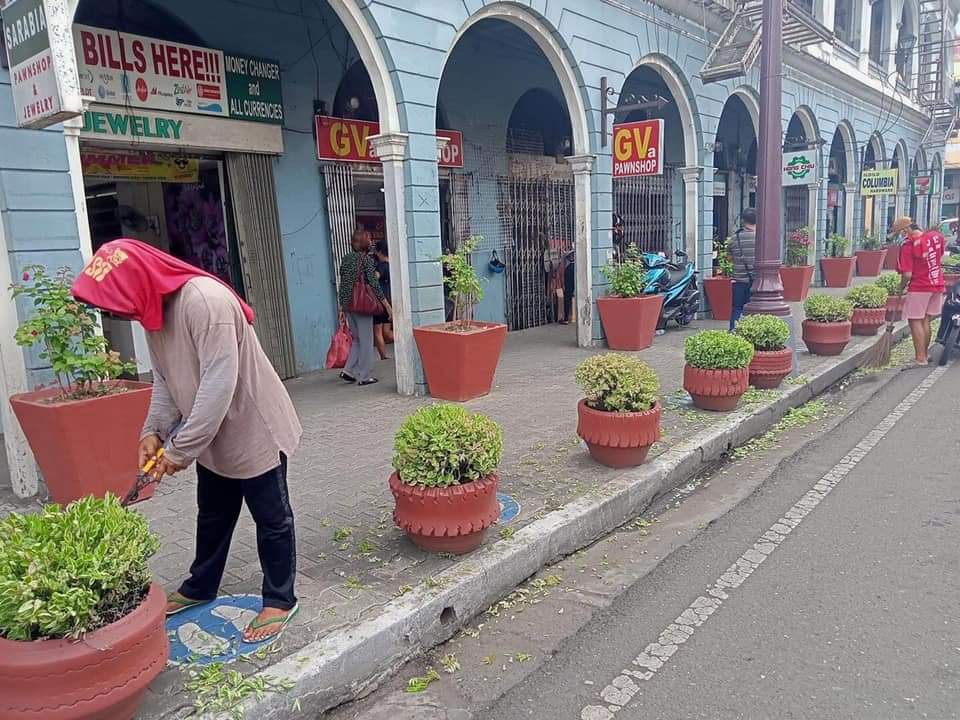 TRIMMED AND PRETTY Workers of the Iloilo City government trim plants along JM Basa Street even amid a prolonged modified enhanced community quarantine status of the city. —PHOTO COURTESY OF ILOILO CITY GOVERNMENT western visayas