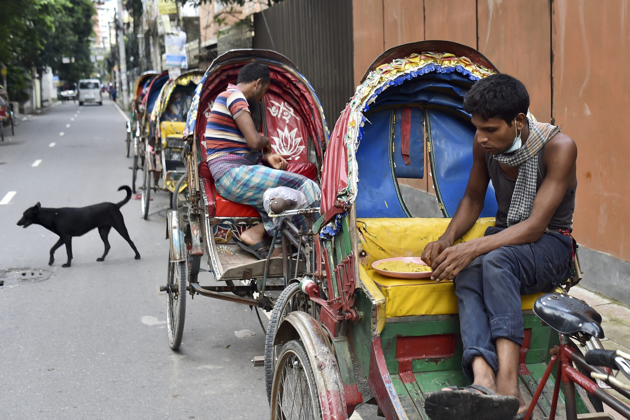 Lockdown Deaths Of Animals In Bangladesh Pet Shops Spark Outcry ...