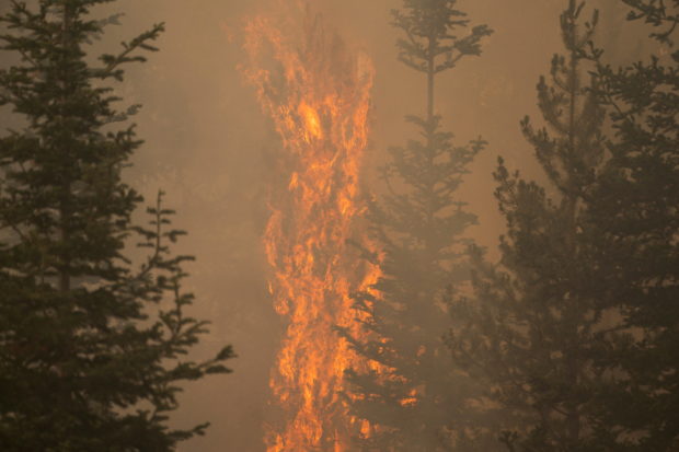 oregon wildfires