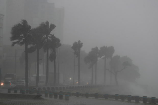 Palm trees sway in the wind and rain during the passage of Tropical Storm Fred in Santo Domingo, Dominican Republic