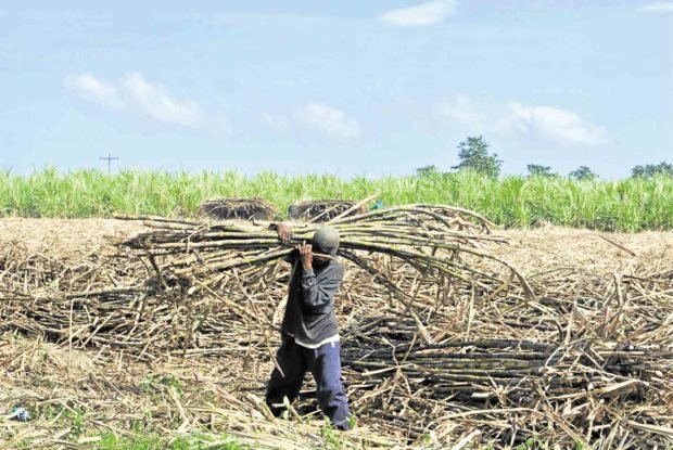 DOT cites sugar industry as 'sweet' part of PH's roadmap to recover from pandemic