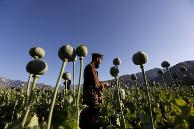 afghanistan drugs
