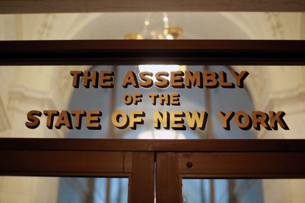 the assembly of the state of new york