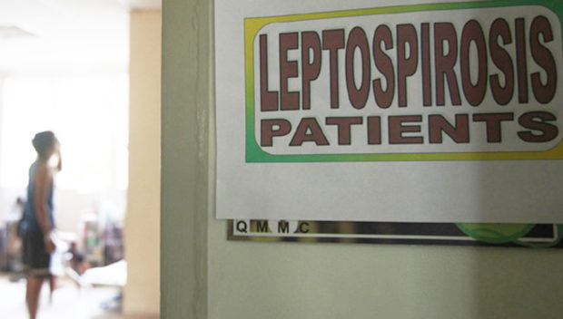 Quezon City leptospirosis cases double