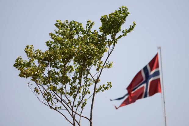 A Jatoba tree, originally from the Amazon is placed in front of the Norwegian Embassy, during a protest by activists seeking symbolic refugee status for the plant, in Brasilia, Brazil September 21, 2021.
