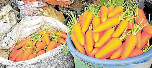 FRESH LOOKING Smuggled carrots, which appear to be recently harvested, have flooded the markets. —EV ESPIRITU