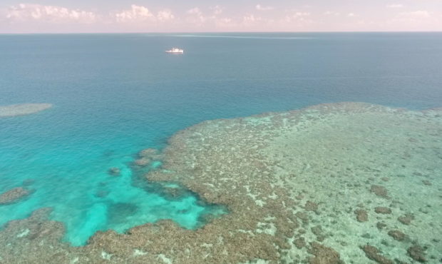 great barrier reef